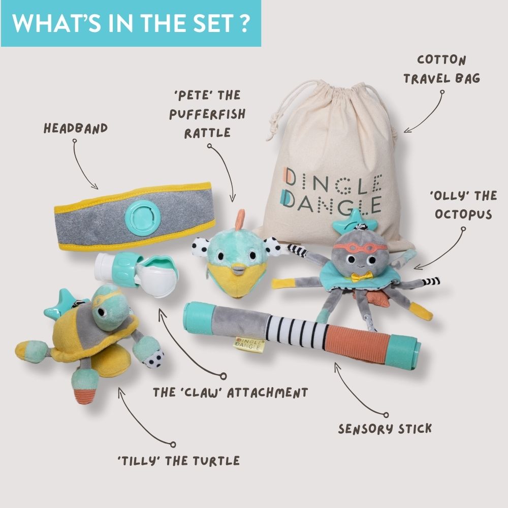 Dingle Dangle Best Baby Gift 0-6 Months